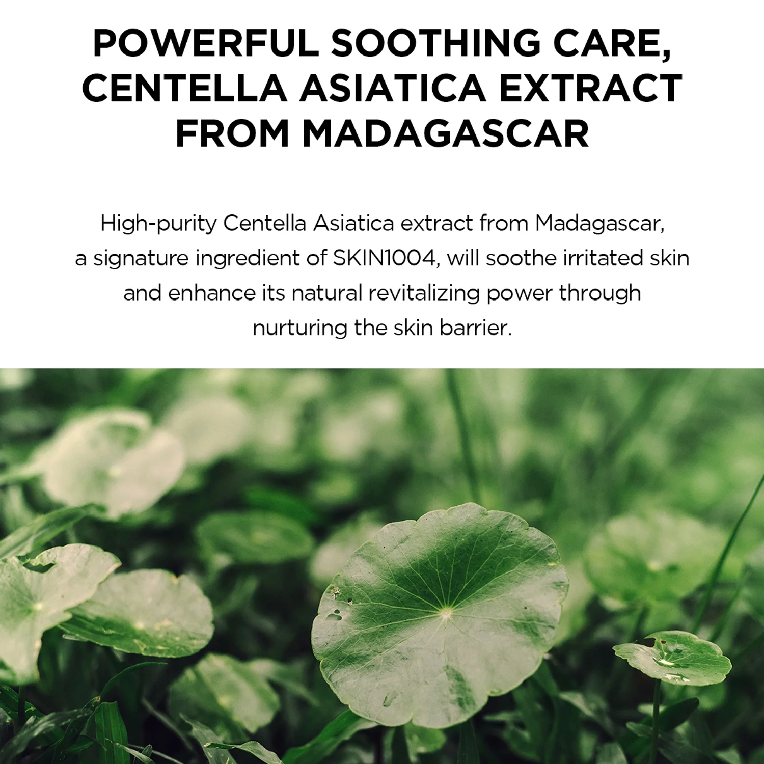 SKIN1004 Madagascar Centella Hyalu‑Cica 50ml